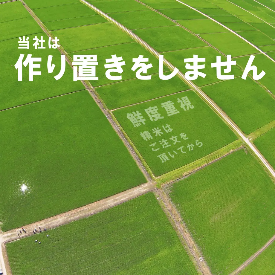 636b168ec808a4444b341ca9