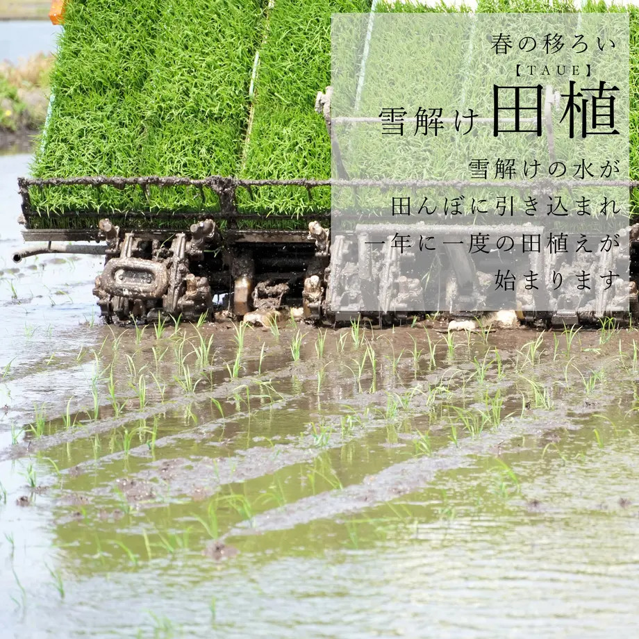 61356d78e406b81048aa32eb