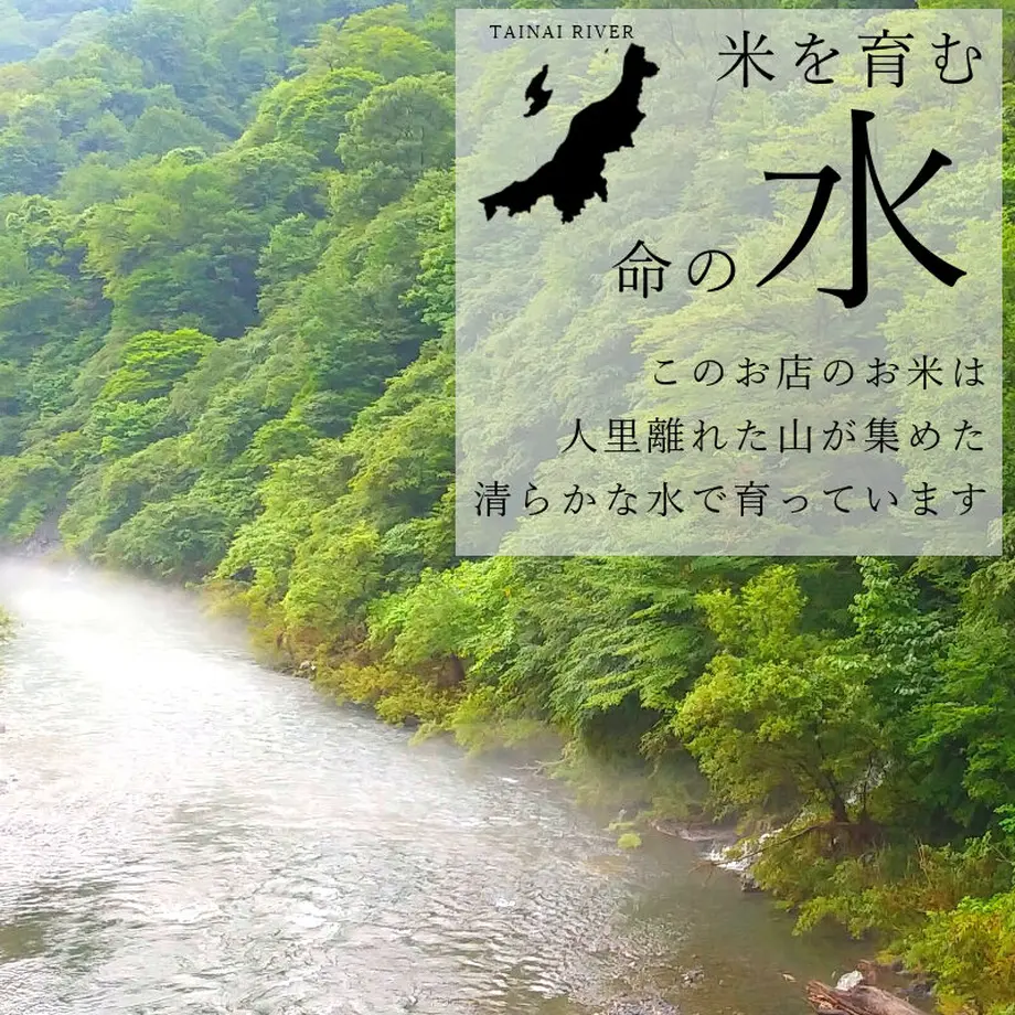 61356d77e406b81048aa32e5