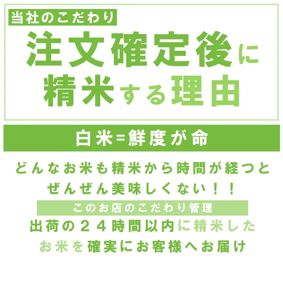 61356d77e406b81048aa32e3