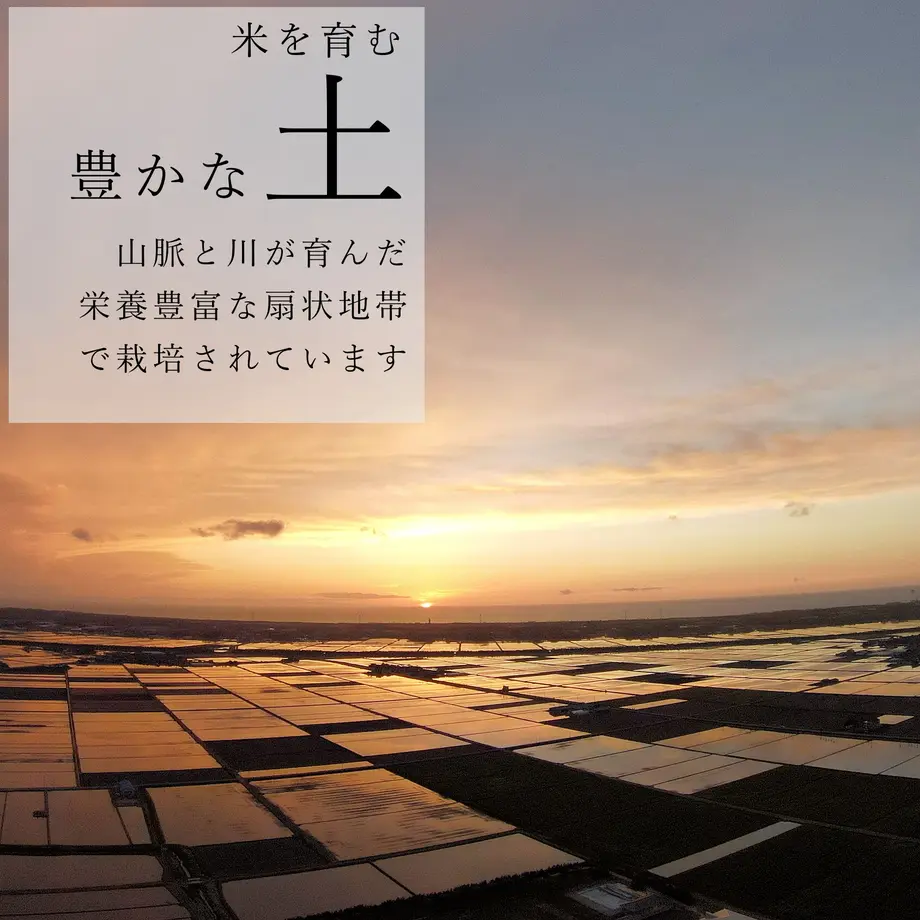 61a82356b91b752140ce62f0