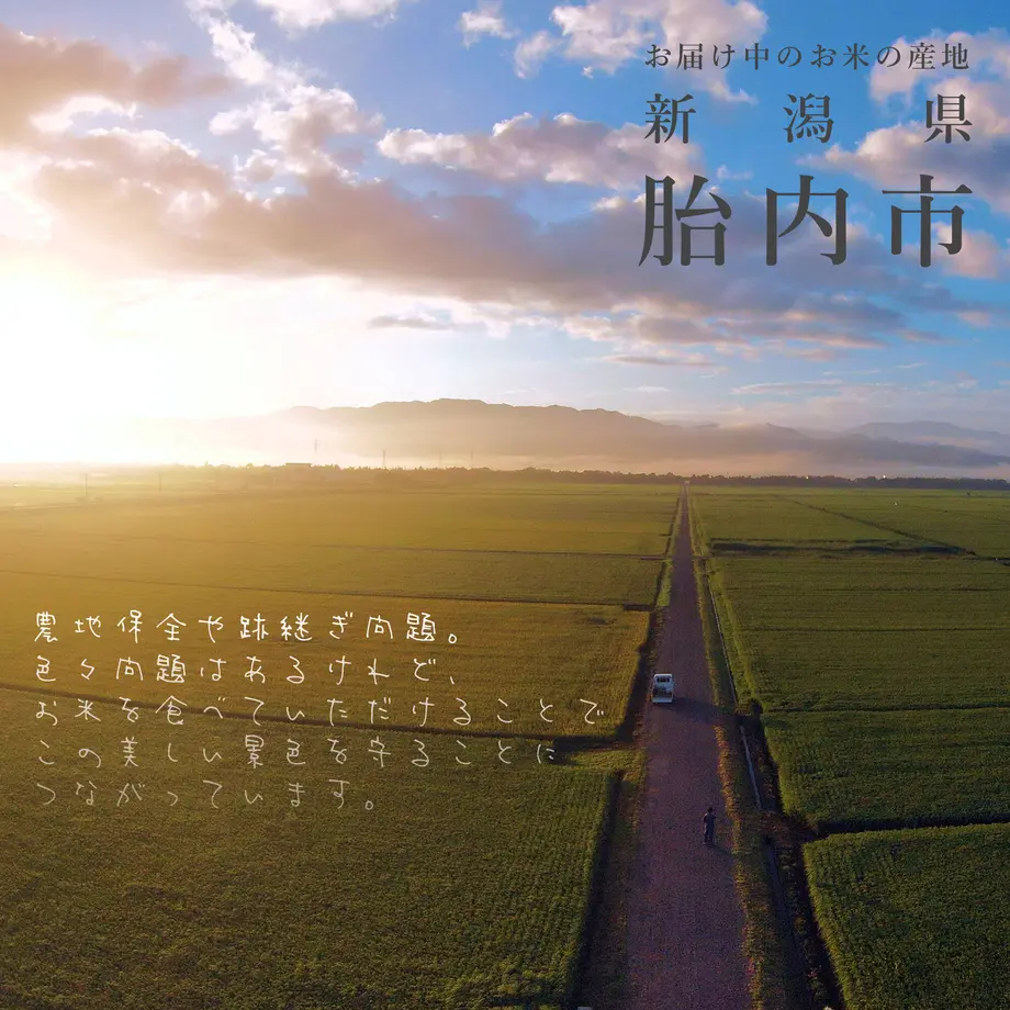 61356d78e406b81048aa32e8
