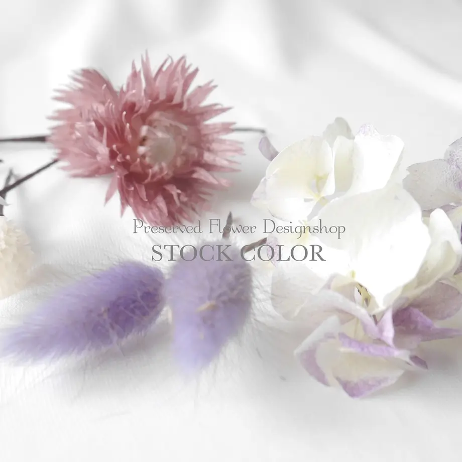 5d3fc23566d86c615901a84a
