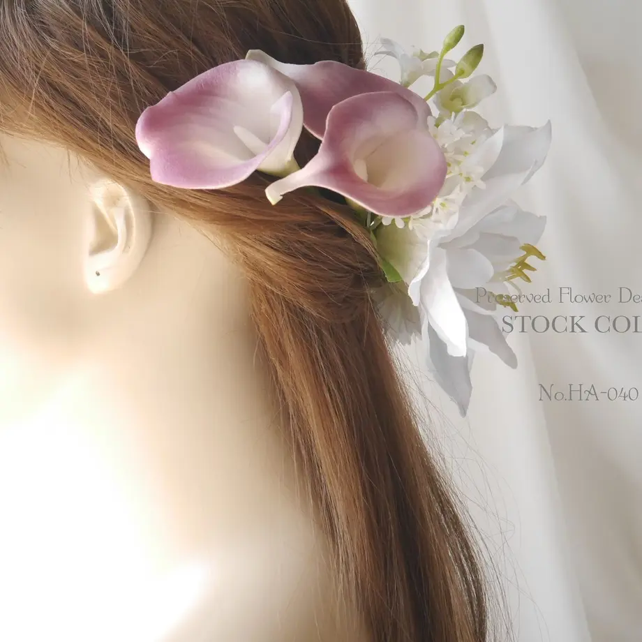 5c950358a71db7624d8b3dd2