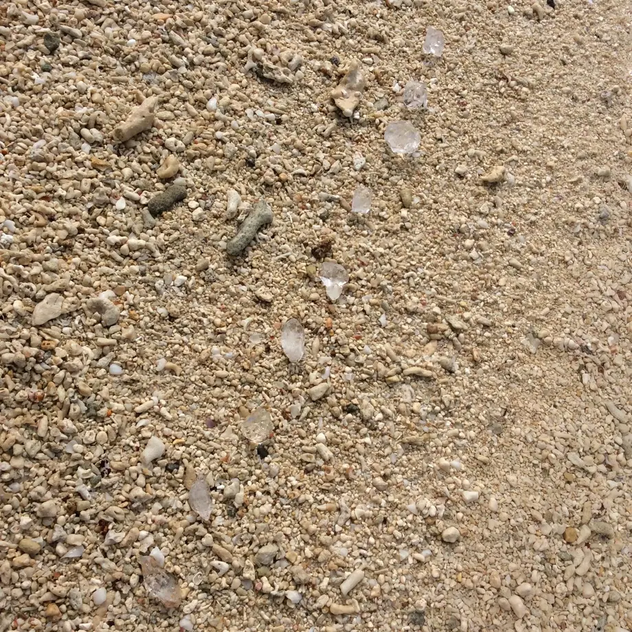5eb25d4434ef014330045258