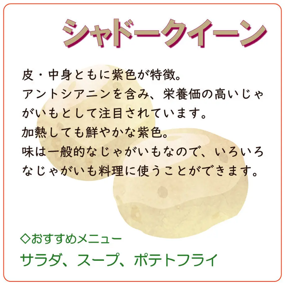 602f23dcc19c4557e64d33b4