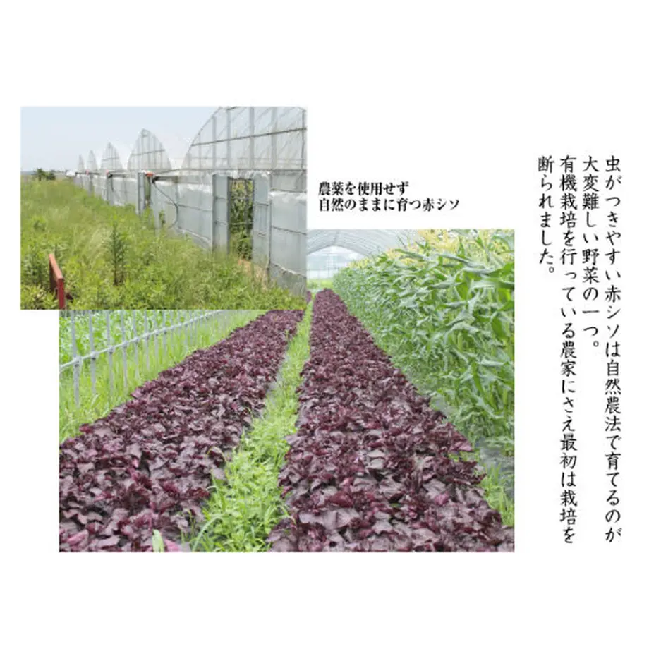 60c179742bf9015f73785bc5