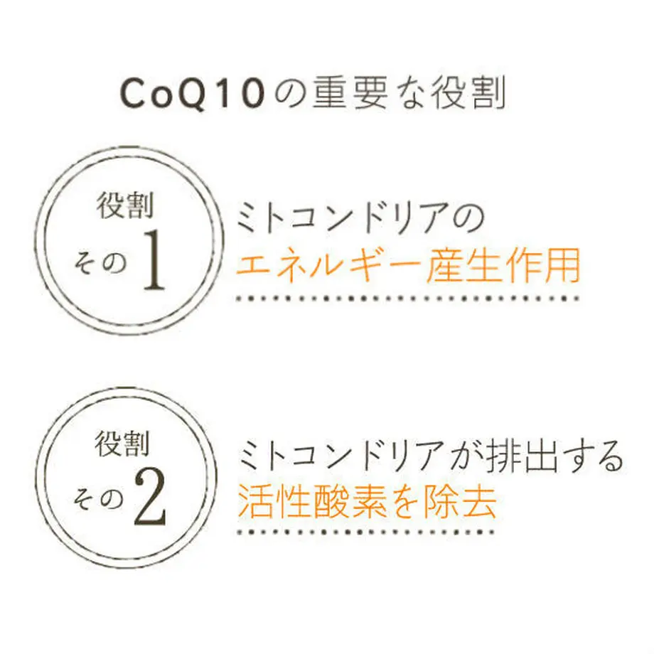 5f6c814d4b083926d709c034