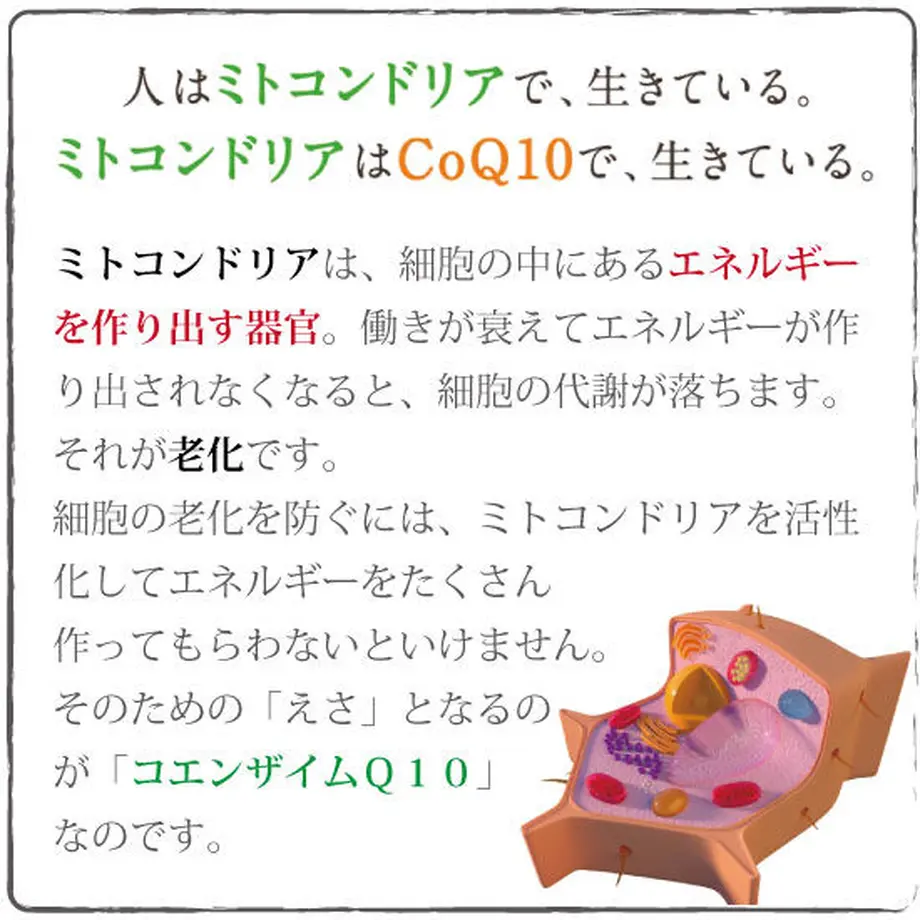 5f6c814d4b083926d709c034