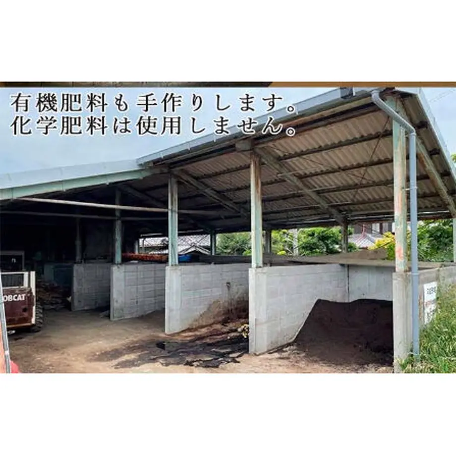 62d21ccba74e3359e11031a4