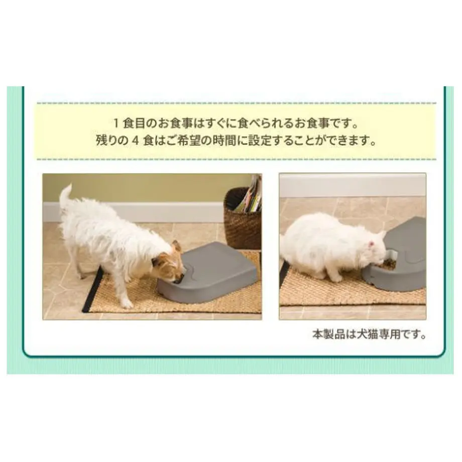 5c7ce1522ef8280990c71848