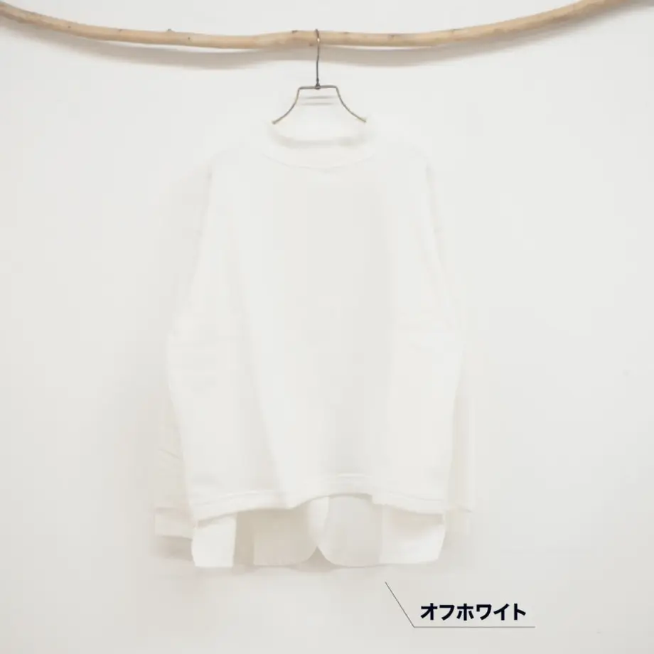 5ff554958a45720791737b51