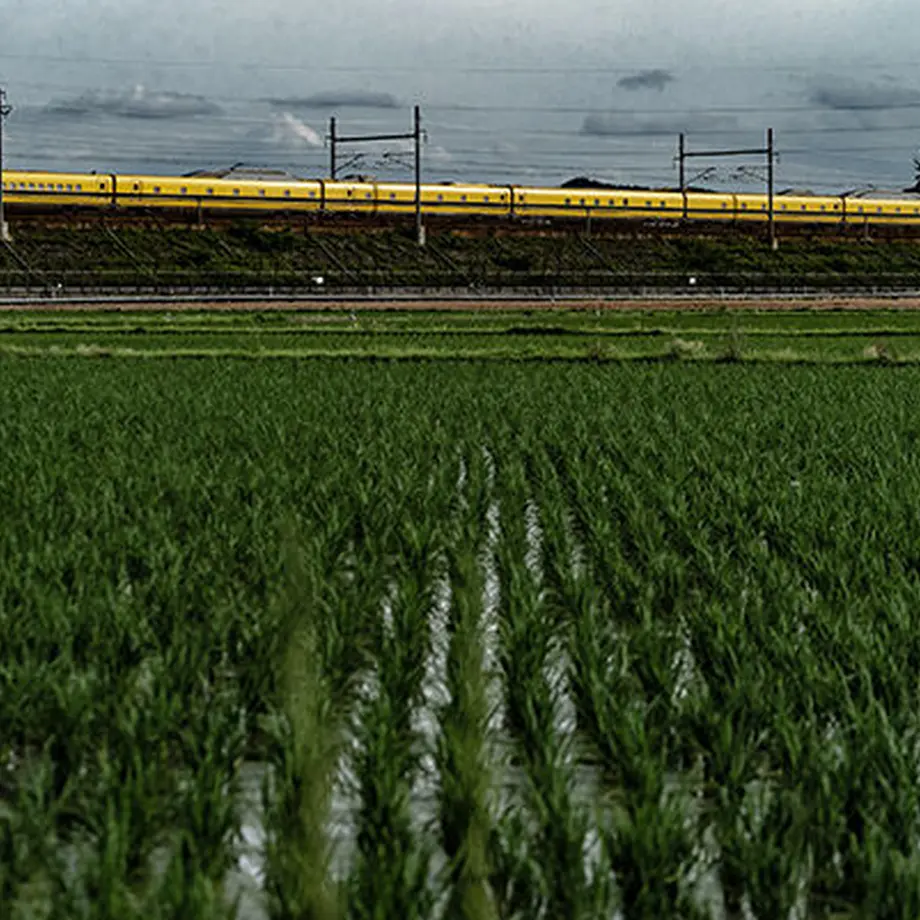 6124d44184ca635407392976