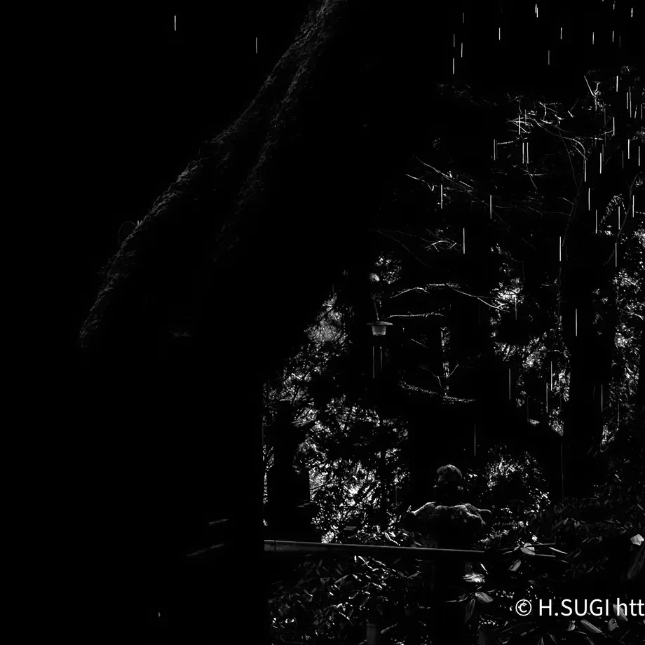 6309d6b4ef80854cb6f5f596