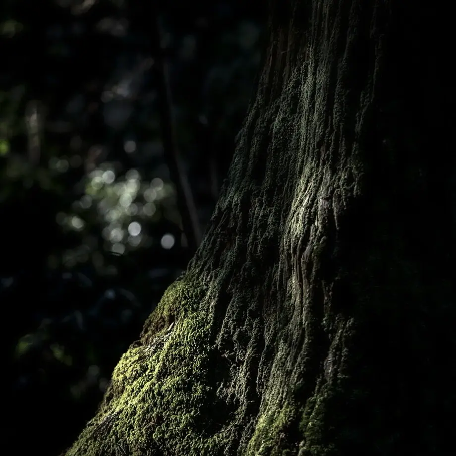 6309d4f9ef8085164bf5f871
