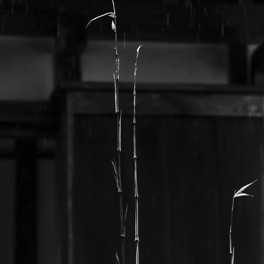 6309d7d1ef80854cb6f5f68f