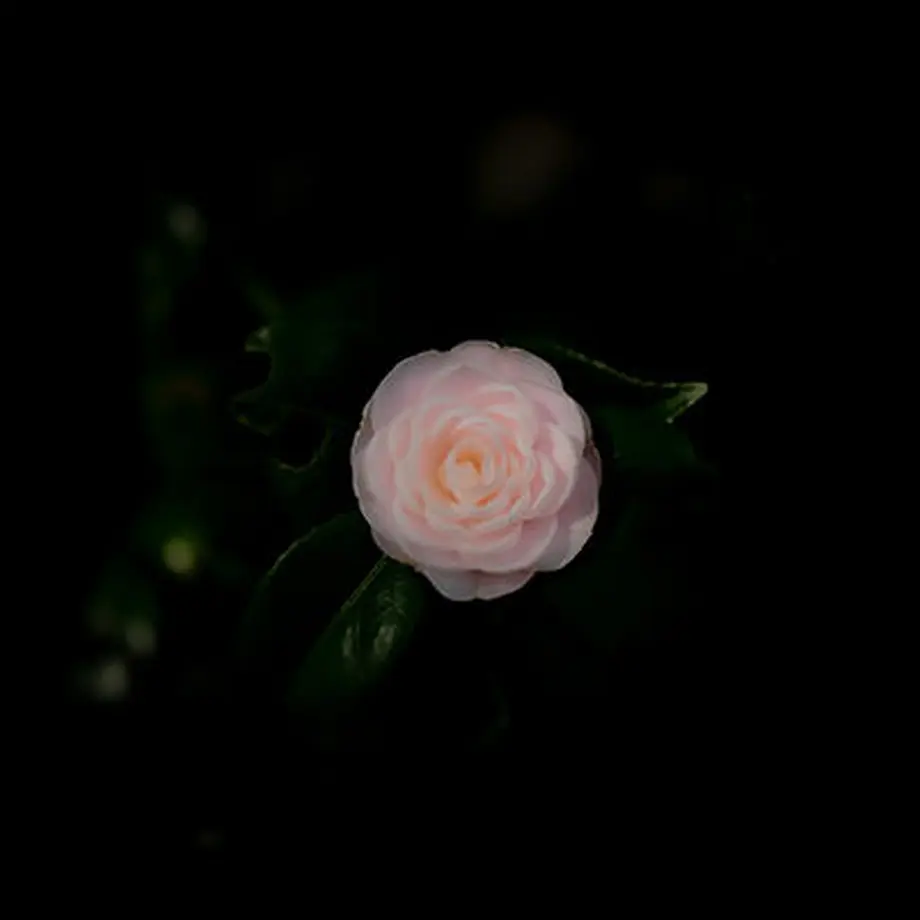 612372a3e494333d22575b8a