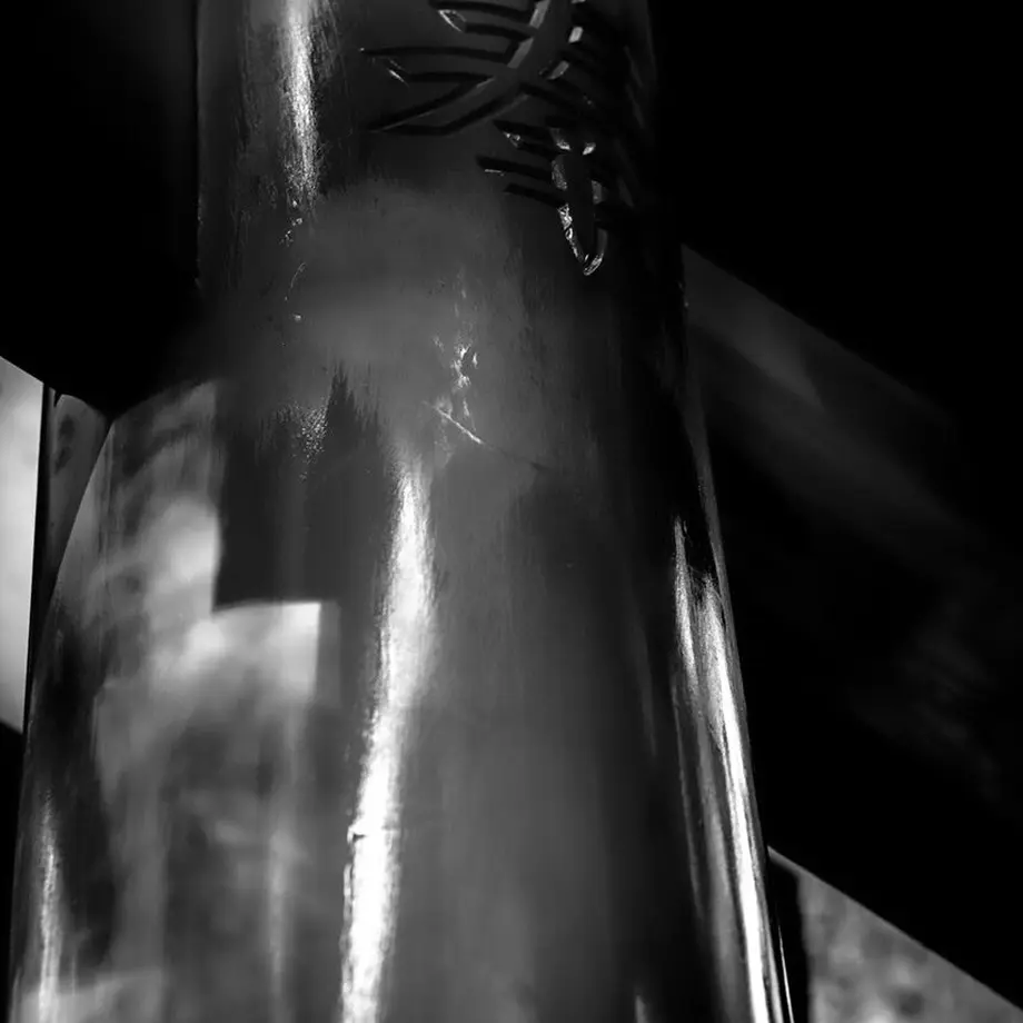 6309ccd073f98a546c49368b
