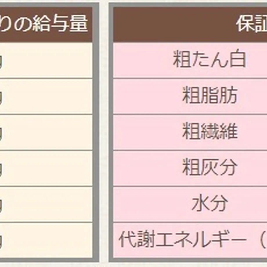 5c08ad7a40c9ea2679228b64