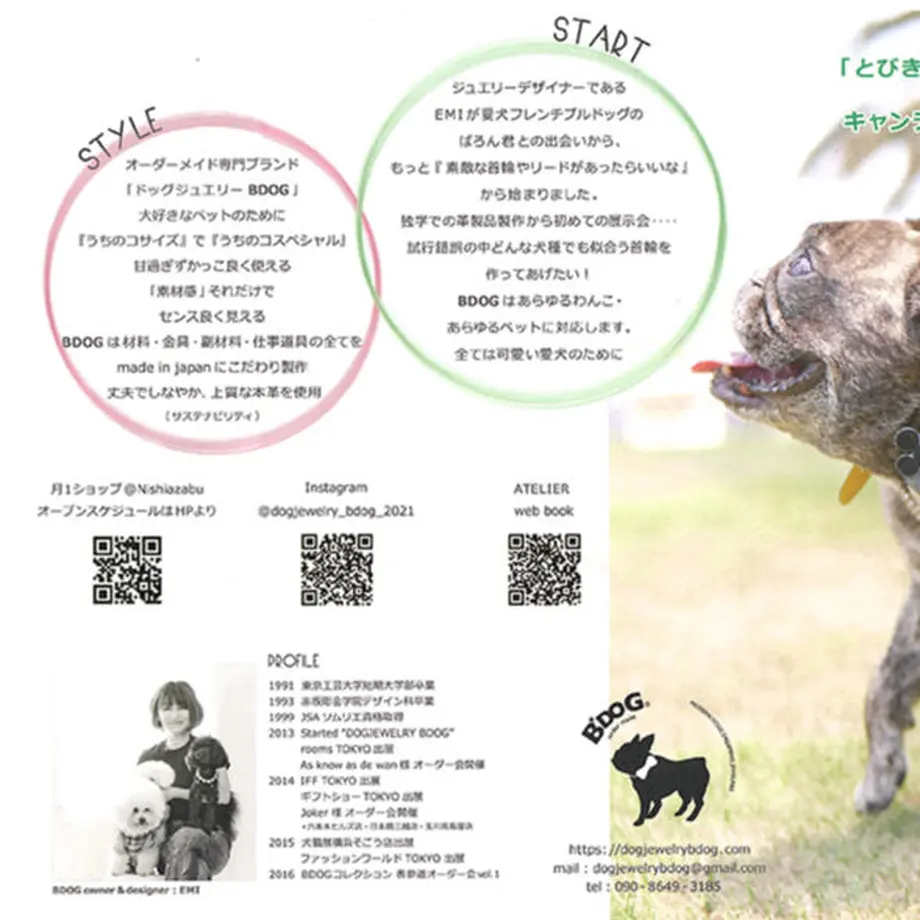 62738d91b5285a110806d633