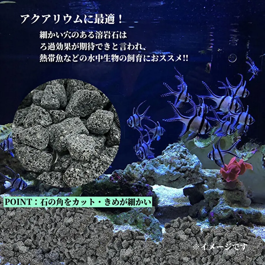 5e4503a8cf327f12682430a4