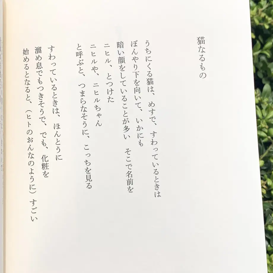 60811c9be70dc42ba096e75f
