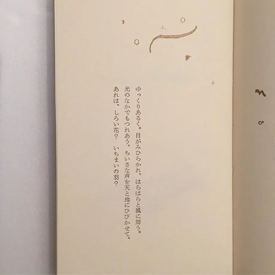 5cf21b20c843ce51b5544c98