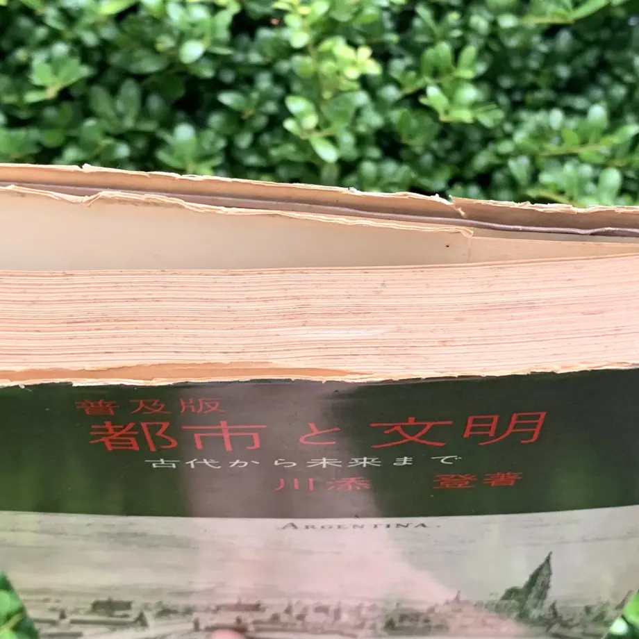 60cd871db5285a31c49d7027
