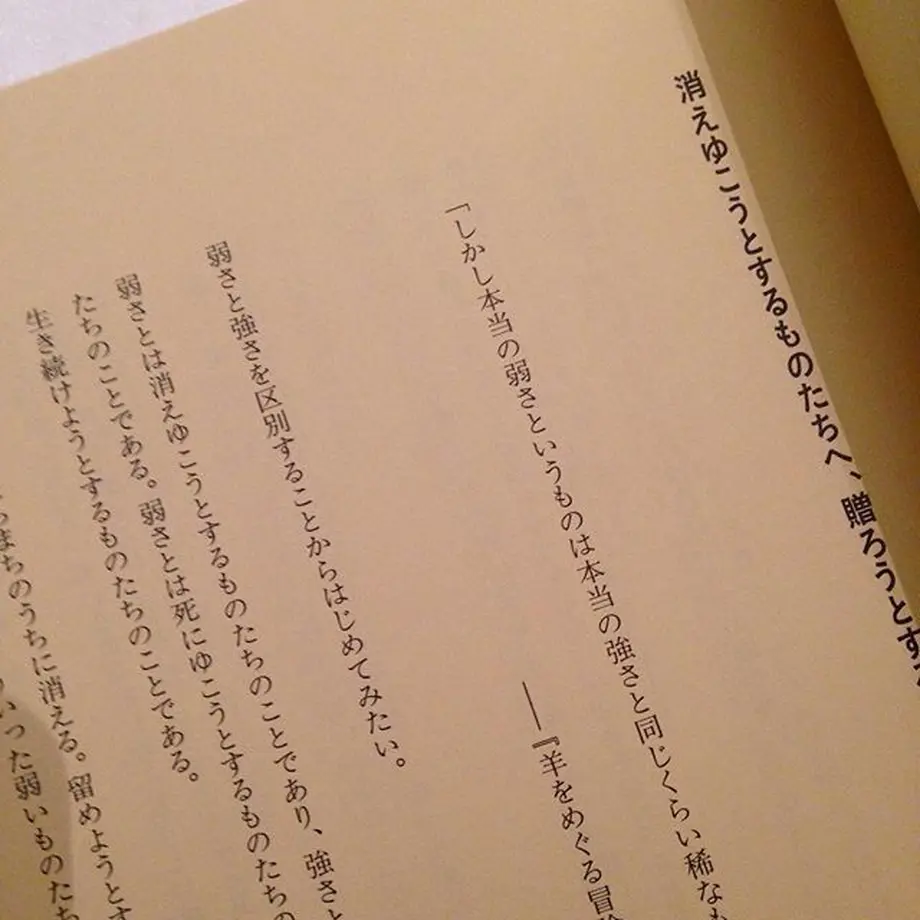 5ab38a295f786621c5000f8a