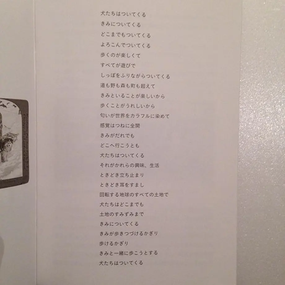 585b7e7810031533f8000251