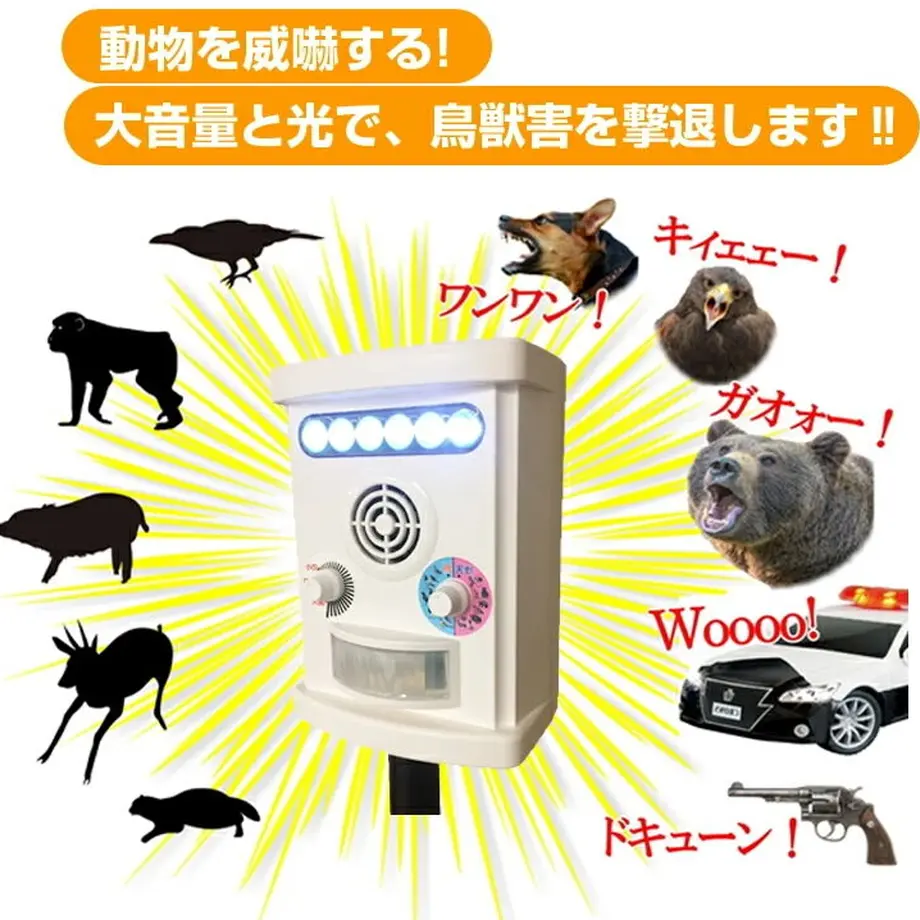 620367331dca32553c4465ff