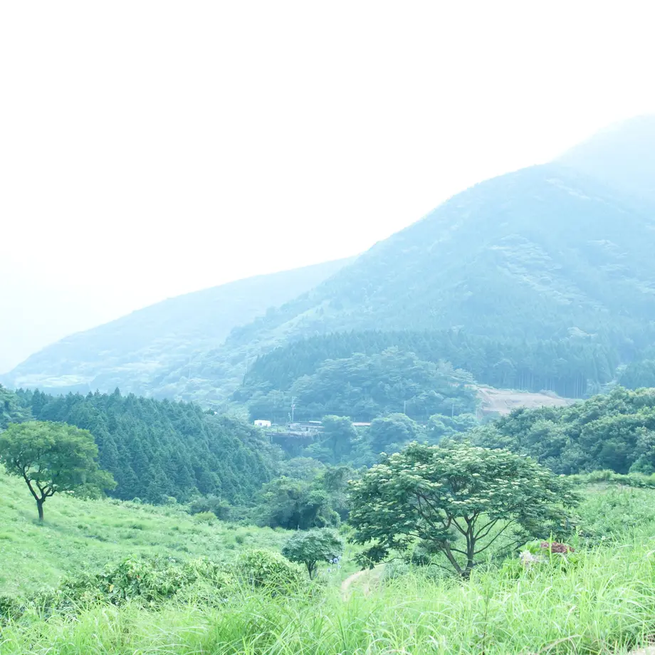 5d9b2e6ebc45ac788308d675