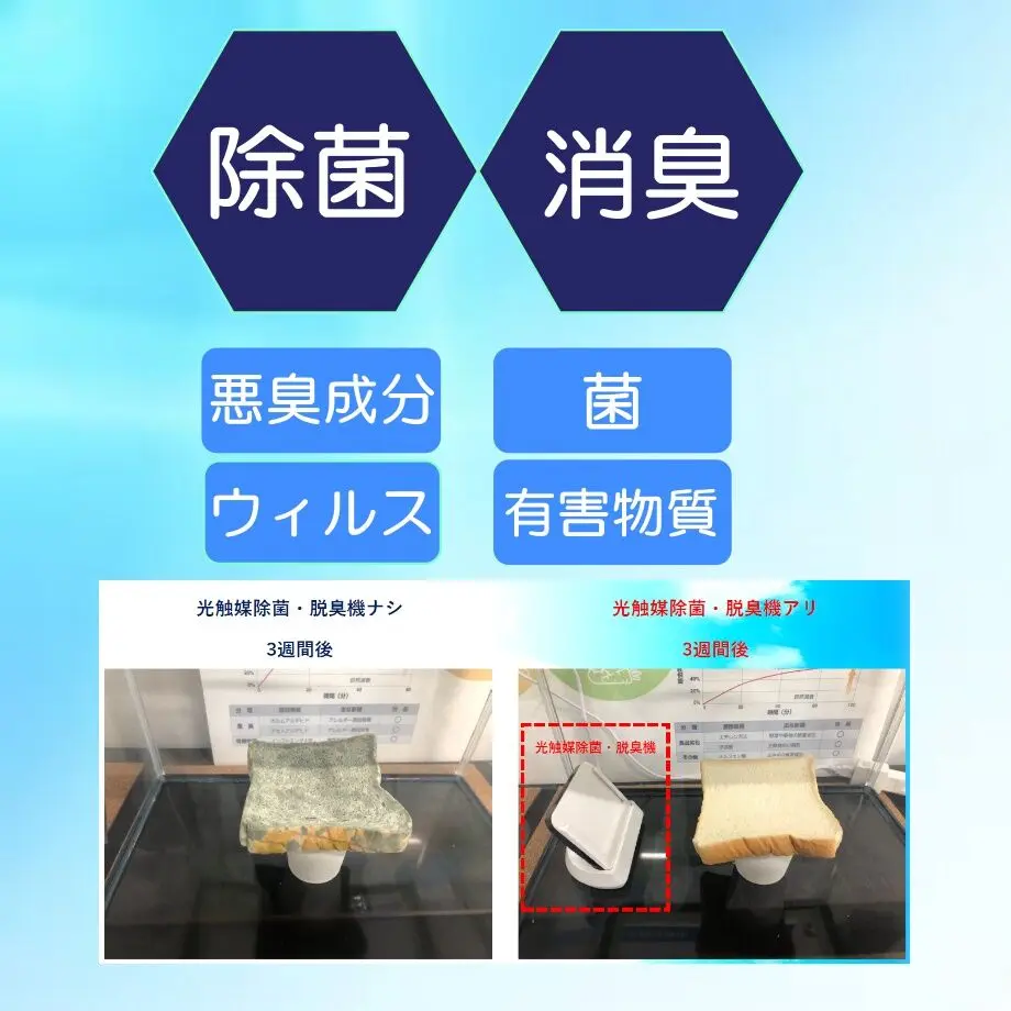 61888cf56b6d190f18ca76a7