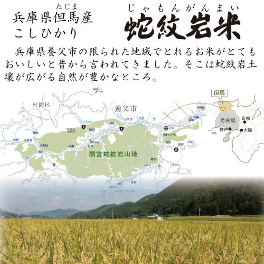 5fa393beb00aa32c51a67395