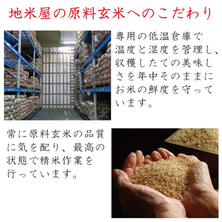 5fa393beb00aa32c51a67395
