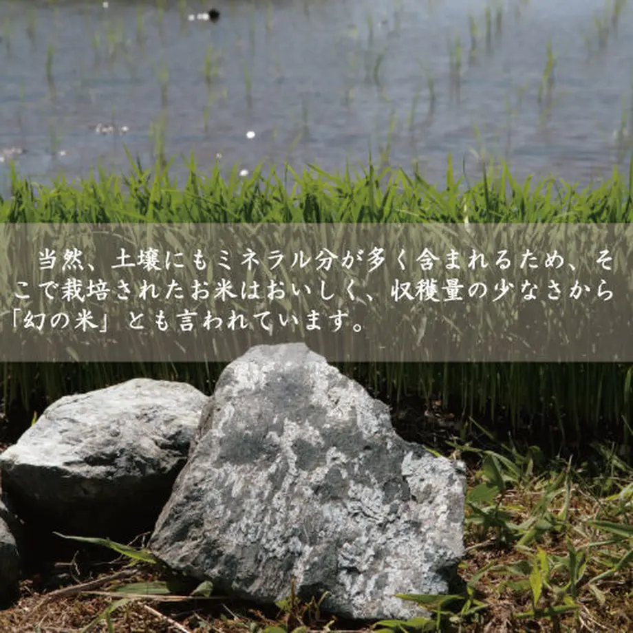 5fa393beb00aa32c51a67395