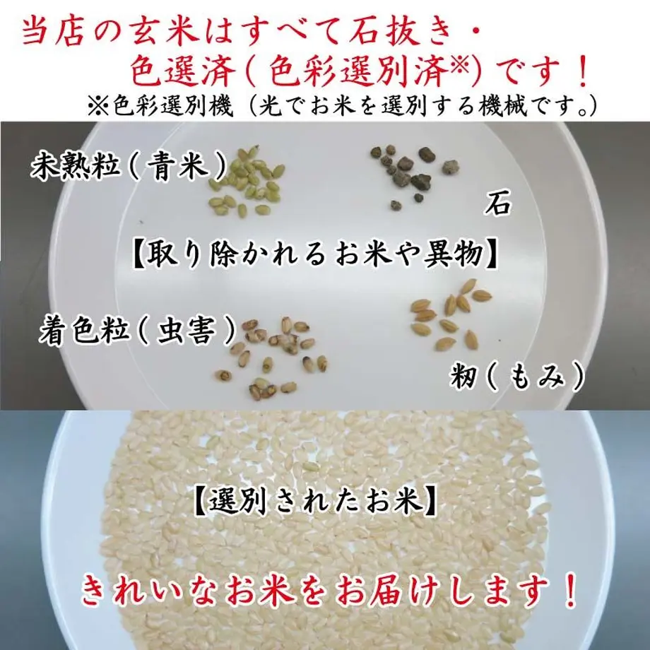 5fa387bddf5159405b15dec7