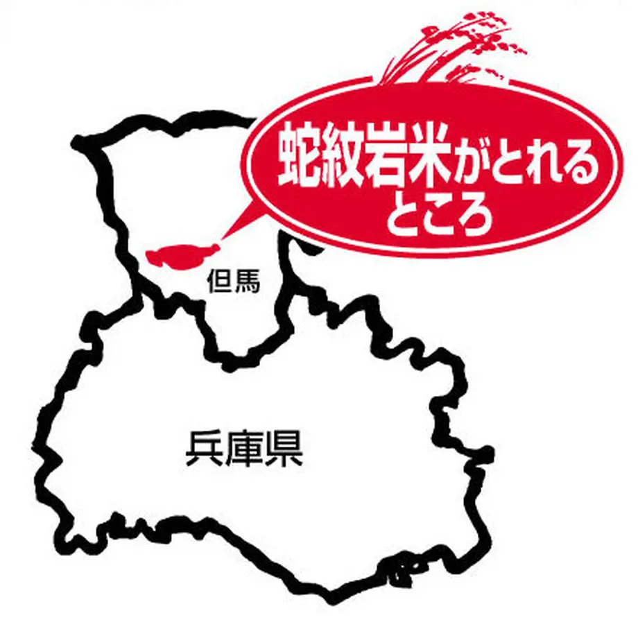 5fa393beb00aa32c51a67395