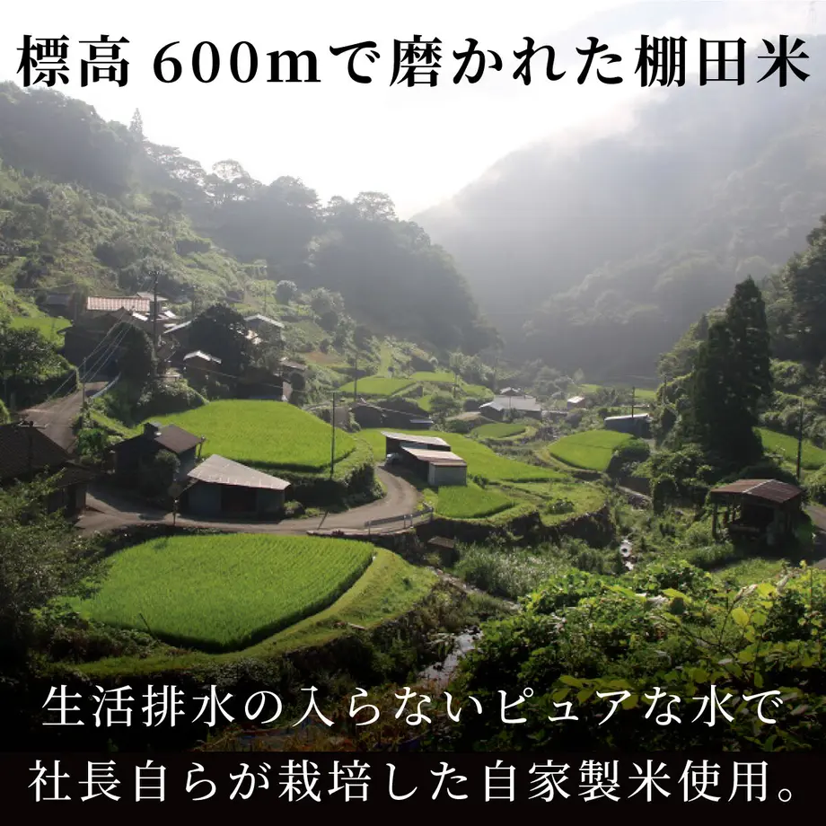 5ed894c9bd217849eb2d059e