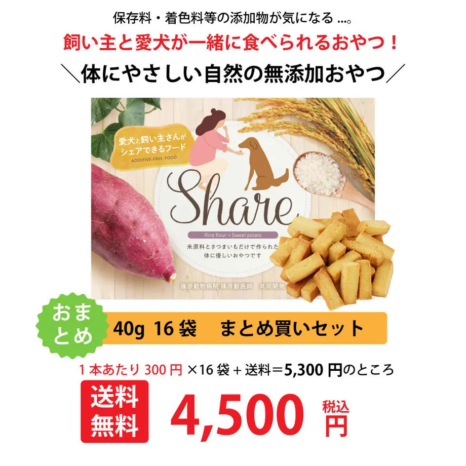 60c1a87b02a58940d527cad6