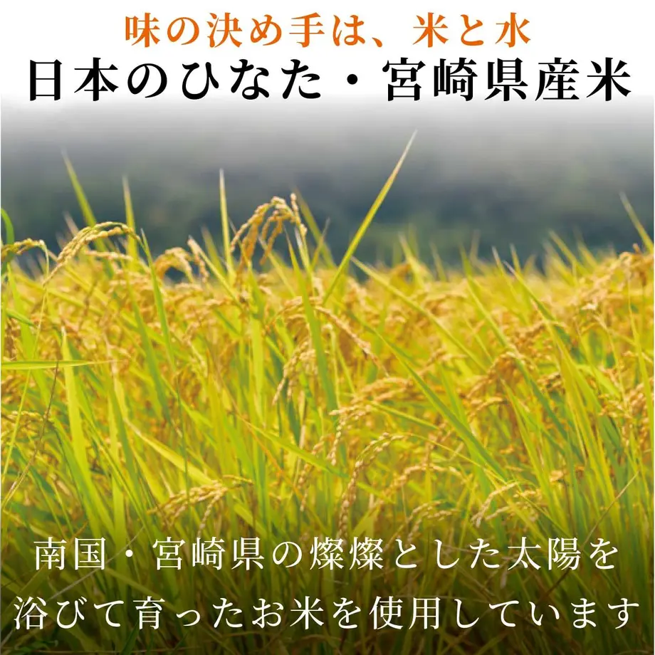 615549838c1a5b381d0247a4