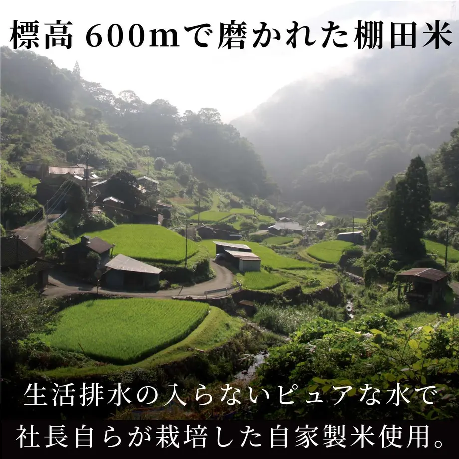 5f290497afaa9d06e7dbca7c