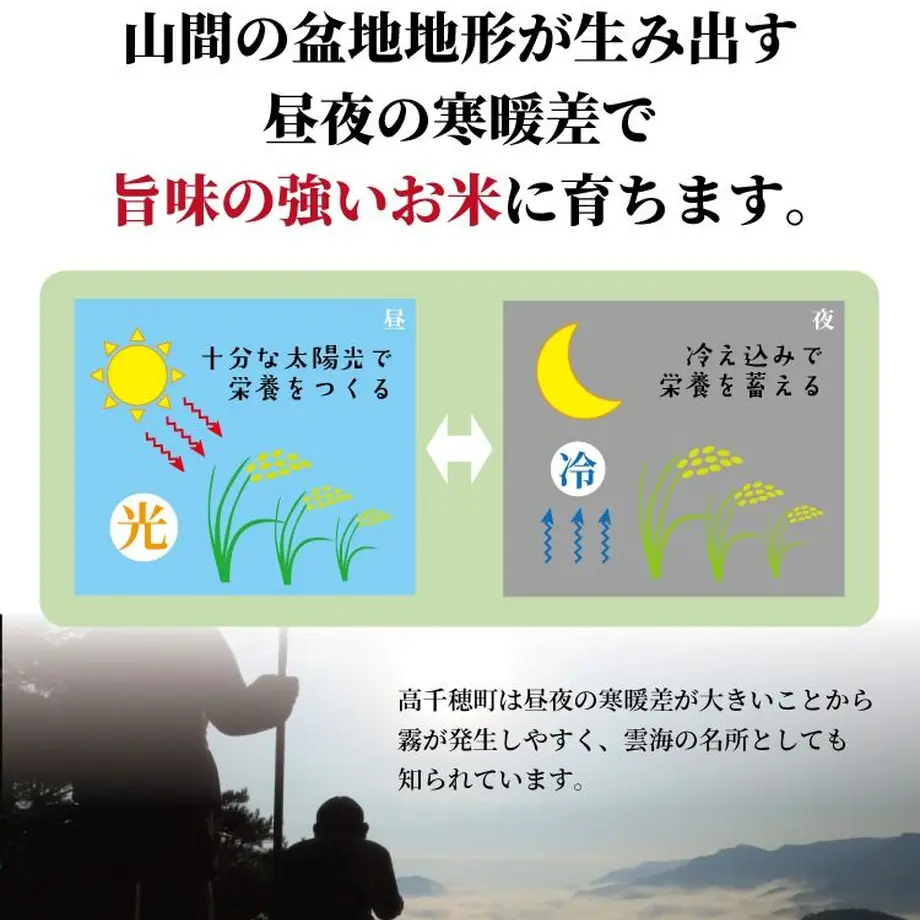 5f8e71c28ac3940737632f7c