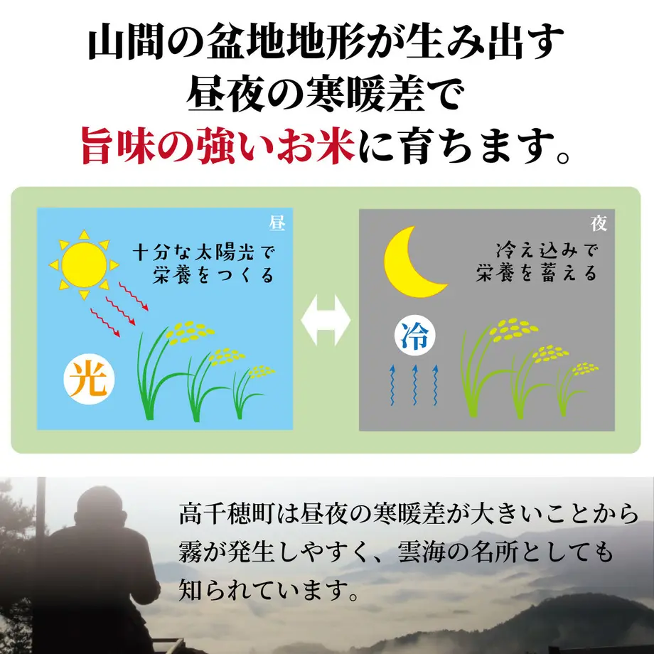5bda40ba5f786618d500026d