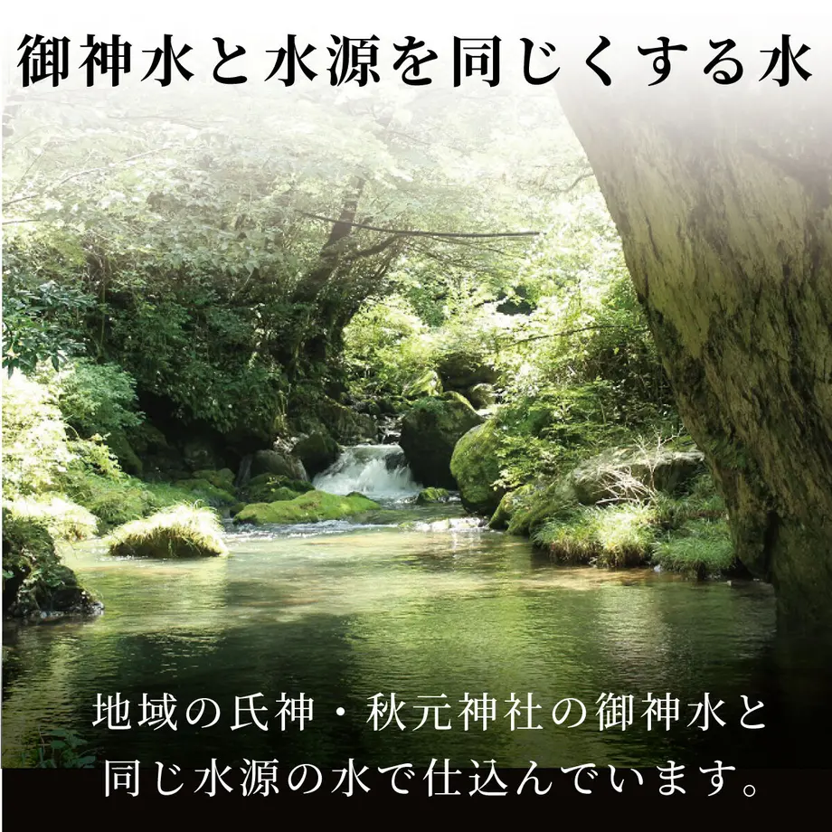 5500f2a73bcba9ddb9000016