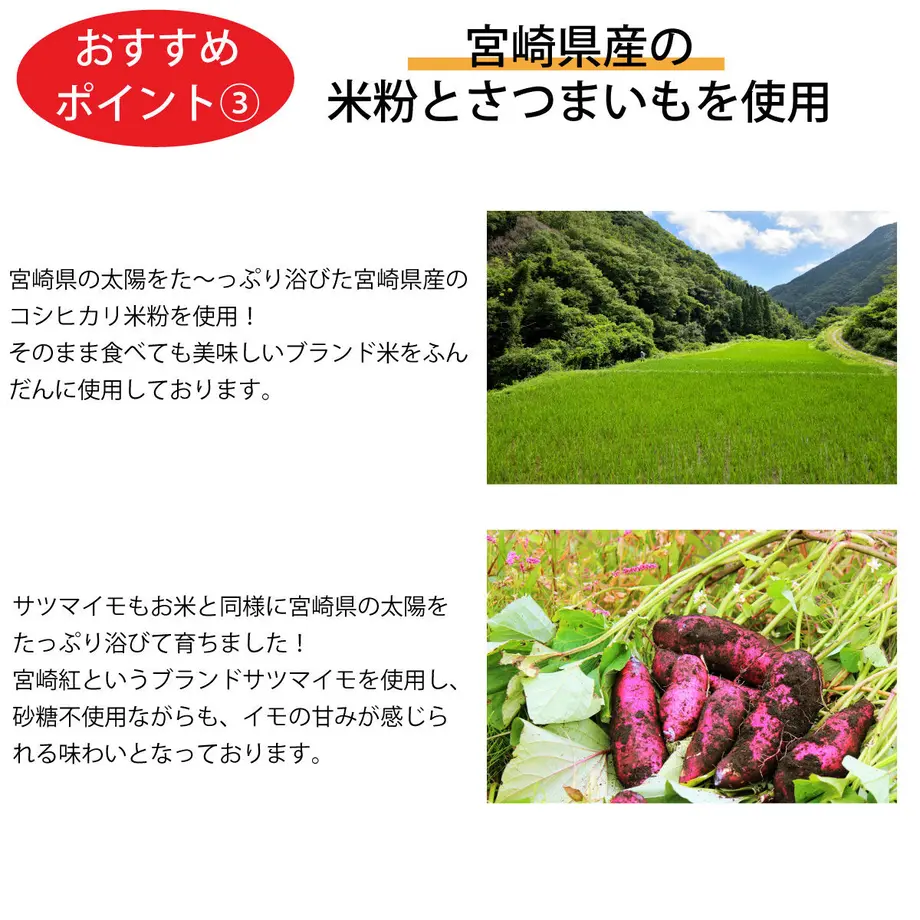 60c1a87b02a58940d527cad6