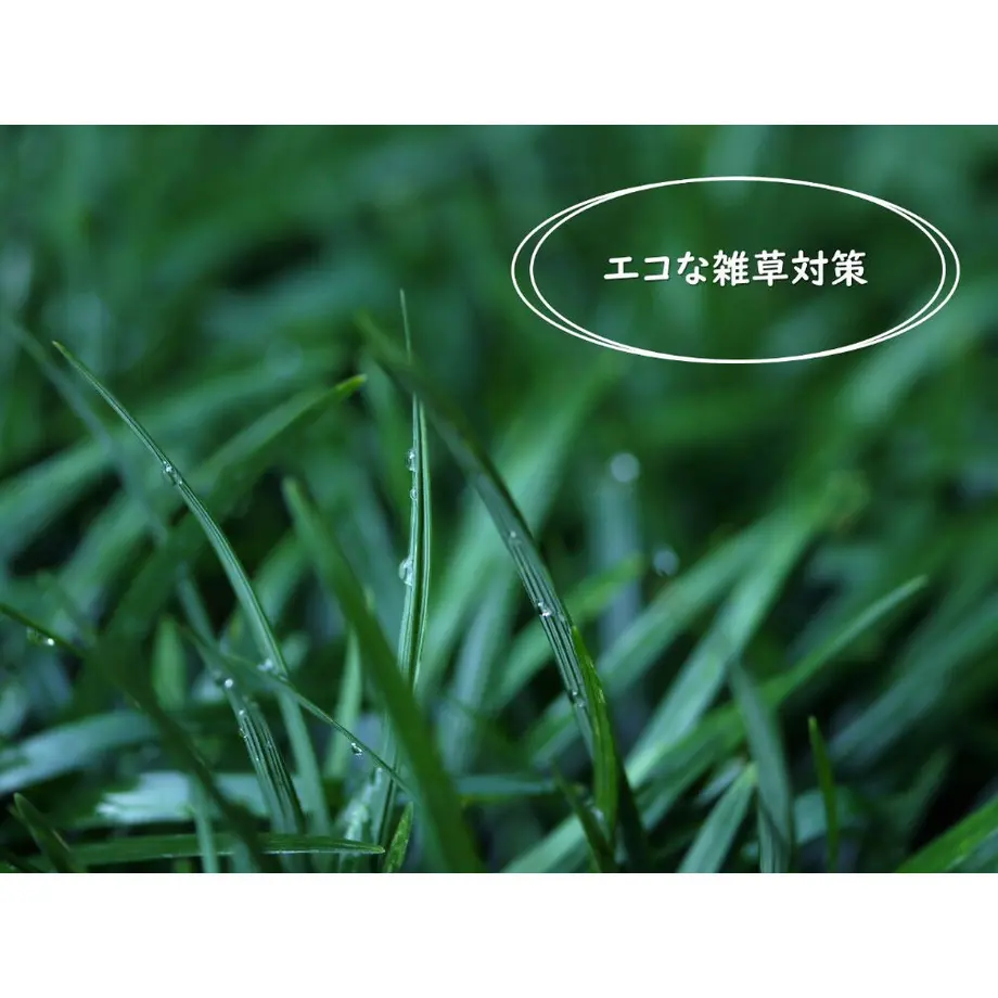 5e245f0168d16354039fd026