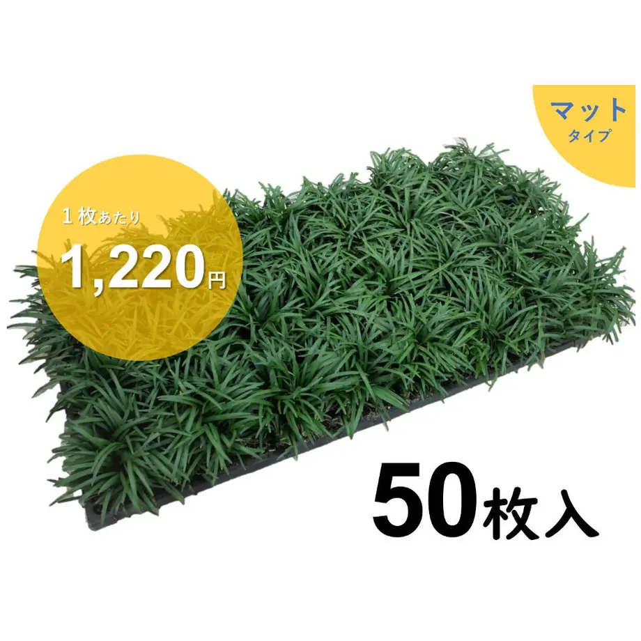 602f8b1b24386035958dbcbf