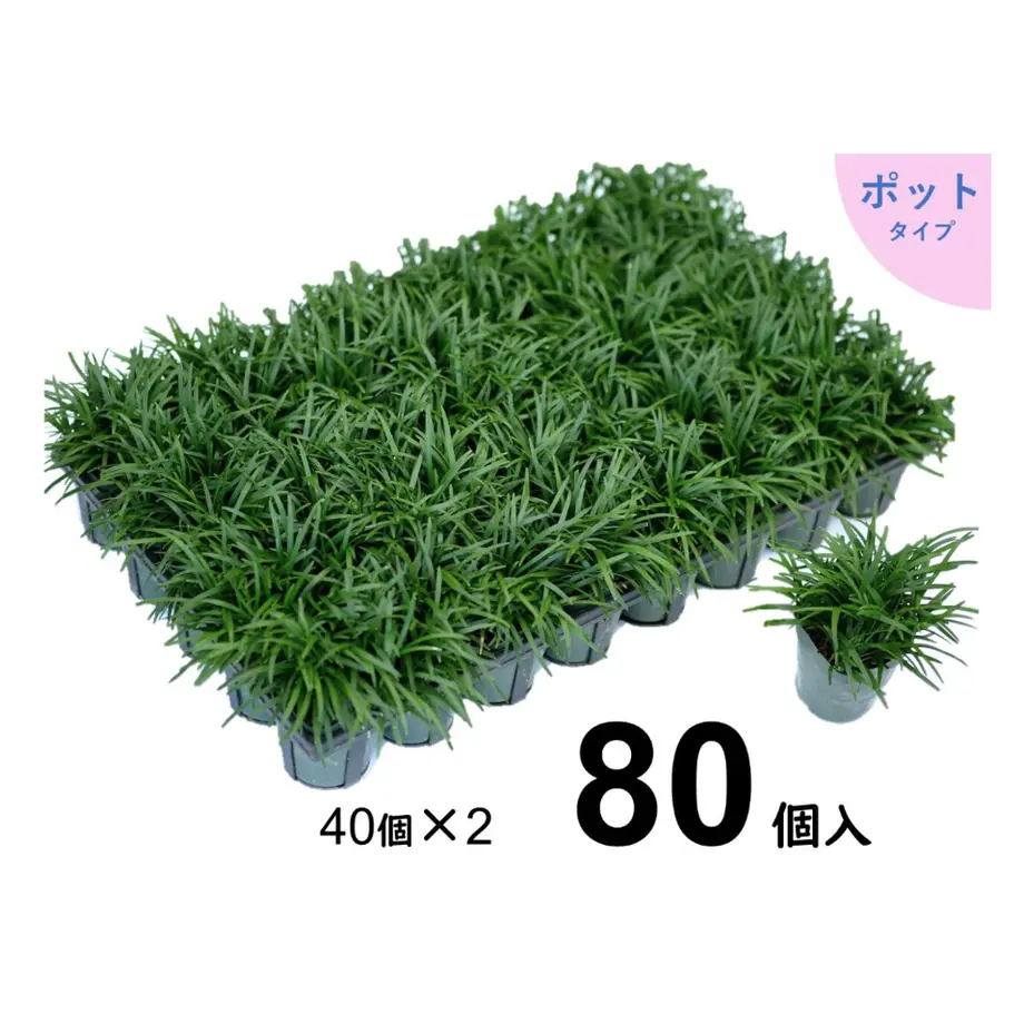 60a6095950a48a1bbcfe06eb