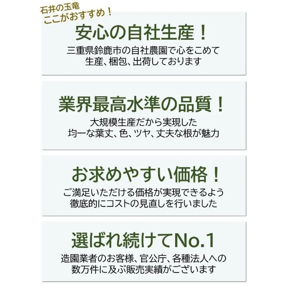5e2461c4fa03d736ef9d987b